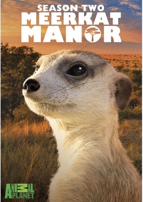 Meerkat Manor: Season Two