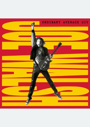 ORDINARY AVERAGE GUY