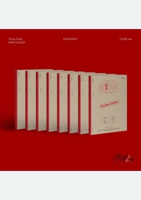 MAXIDENT (PAPER CASE)