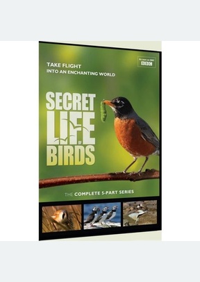The Secret Life of Birds