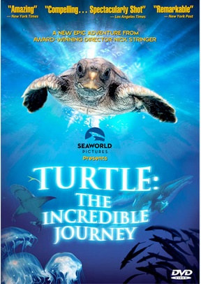Turtle: The Incredible Journey