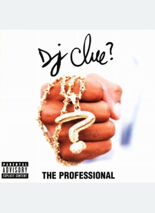 PROFESSIONAL