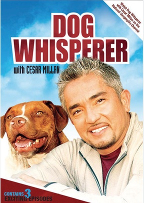Dog Whisperer with Cesar Millan: Volume 2