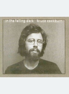 In The Falling Dark