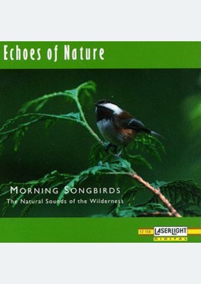 MORNING SONGBIRDS
