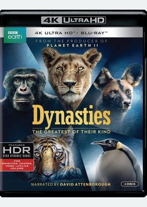 Dynasties