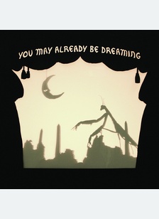You May Already Be Dreaming