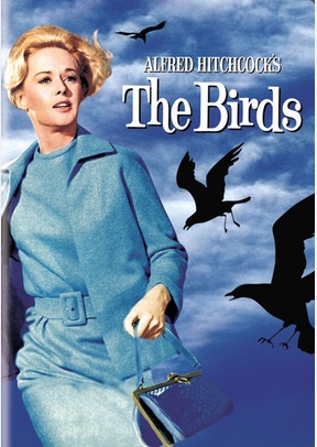 The Birds