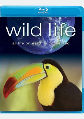 Wild Life