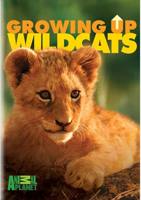 Growing Up Wildcats