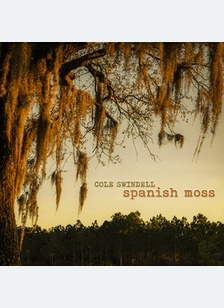SPANISH MOSS