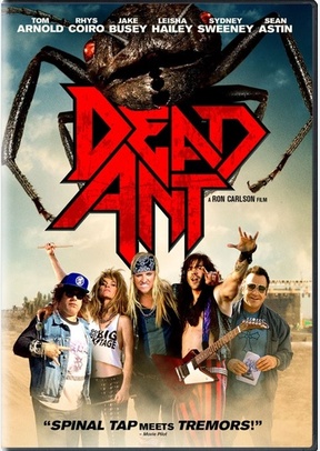 Dead Ant
