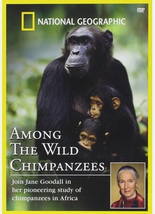 NG:AMONG WILD CHAMPANZIES
