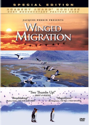 Winged Migration