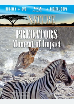 Nature: Predators Moment of Impact