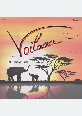 DES PROMESSES (LP)