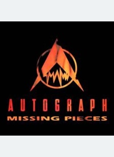 MISSING PIECES