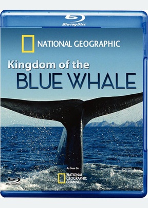 National Geographic: Kingdom of the Blue Whale