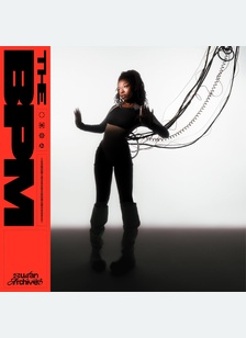IE-BPM (2LP)