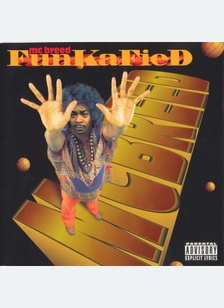 FUNKAFIED