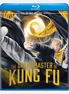 The Grandmaster of Kung Fu