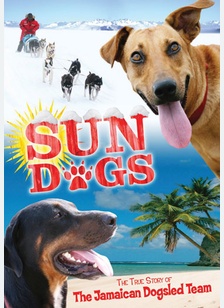 Sun Dogs