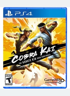 Cobra Kai: The Karate Kid Saga Continues