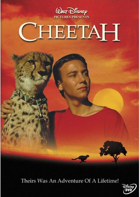 Cheetah