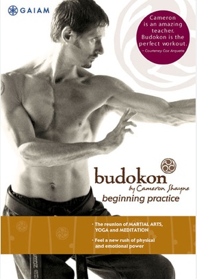 Budokon For Beginners