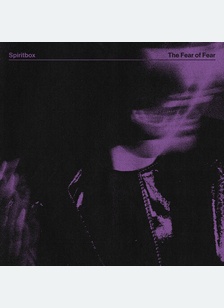 FEAR OF FEAR (LP)