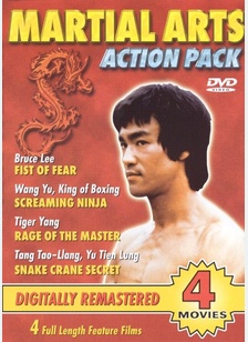 FIST OF FEAR/SCREAMING NINJA/R