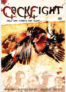 Cockfight: Only One Bird Comes Out Alive