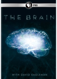 The Brain with David Eagleman