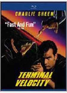 Terminal Velocity