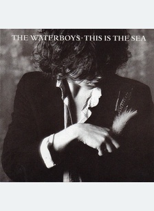 THIS IS THE SEA