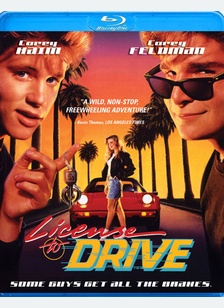 License To Drive