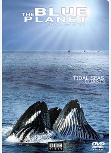 The Blue Planet, Seas of Life: Tidal Seas Coasts