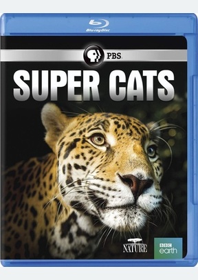 Nature: Super Cats