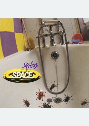 SPIDERS