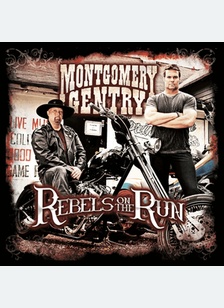 REBELS ON THE RUN