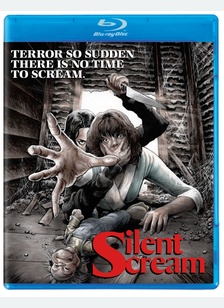 SILENT SCREAM (BR)