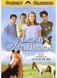 Lost Stallions