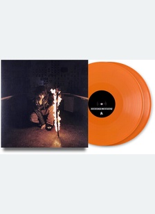 IE-REVENGESEEKERZ (2LP)