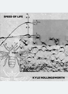 Speed Of Life