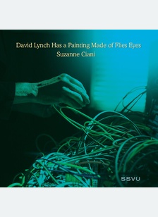 DAVID LYNCH (7'LP)