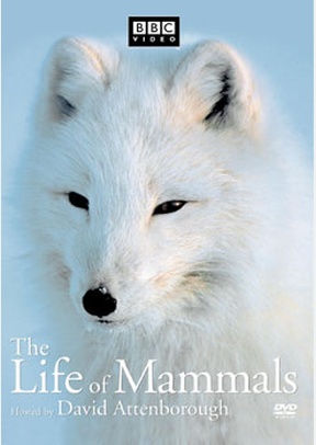 Life Of Mammals Volume 2