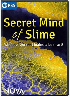 Nova: The Secret Mind of Slime