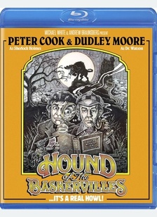 The Hound Of The Baskervilles
