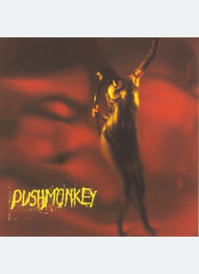 PUSHMONKEY