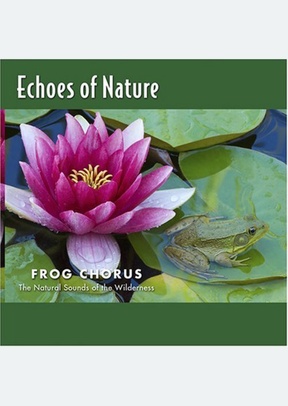 FROG CHORUS